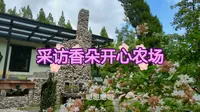 采访上海香朵开心农场#生活的艺术#文创策划#调研片段#上海#香朵开心农场