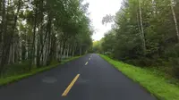 汤旺河林海奇石景区观光车第一视角