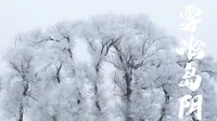 吉林雾凇岛的阴天