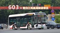 【成都公交】 603路 （地铁成都医学院站  →  青白江凤凰湖旅游景区）前方展望POV
