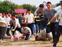 光明农场大观园太会玩了，抓猪抓鸭大赛，快带上亲朋好友一起来抓猪抓鸭行动#光明农场抓猪大赛 #抓猪送鸡 #深圳游玩推荐 #深圳遛娃