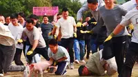 光明农场大观园太会玩了，抓猪抓鸭大赛，快带上亲朋好友一起来抓猪抓鸭行动#光明农场抓猪大赛 #抓猪送鸡 #深圳游玩推荐 #深圳遛娃