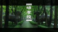 很多人说雨天的明孝陵很恐怖，你是觉得吓人还是舒适？丨 南京 明孝陵 雨景丨 8K看世界 丨 佳能R5C 8K 画质