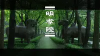 很多人说雨天的明孝陵很恐怖，你是觉得吓人还是舒适？丨 南京 明孝陵 雨景丨 8K看世界 丨 佳能R5C 8K 画质