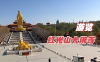 游览国家4A级景区，乌鲁木齐红光山大佛寺，雄伟的40米高贴金佛像