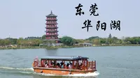 【东莞华阳湖Vlog】东莞麻涌华阳湖湿地公园半日游