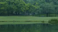 雨，太子湾    （4K版来了）