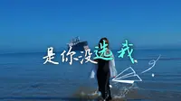 布鲁维斯号沉船