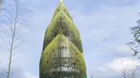 周末打卡湖南最大，中国十大竹海之一的益阳连片竹林超过5万亩的桃江4A景区！