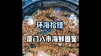 【环海拾错】人生苦短，多逛市场！厦门八市海鲜市场，干货满满！