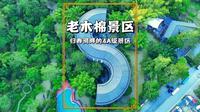 广西小众景区老木棉，与德天瀑布相邻，位于中国最爱国的归春河畔
