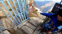 亲自体验华山鹞子翻身