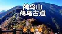 鸬鸟古道刚开放！杭州小武功山，我替你先探了☁️💪