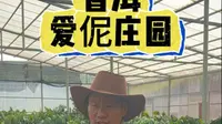 参观普洱小瑞士-爱伲庄园