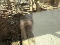 26.3.18上午西藏野生动物保护园直播