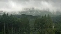 北大湖滑雪度假区｜雨中山野