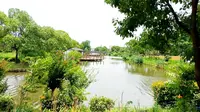 真的实名羡慕了啊！！！上海金山漕泾水窠村（水库村）