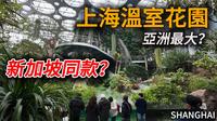 上海也有“新加坡同款”温室花园？超多罕见植物！总共3个场馆，每一个都独具特色！｜citywalk｜上海旅游｜上海自由行｜小白Ethan