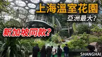 上海也有“新加坡同款”温室花园？超多罕见植物！总共3个场馆，每一个都独具特色！｜citywalk｜上海旅游｜上海自由行｜小白Ethan