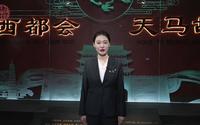 【国三】武威市博物馆|（甘肃·武威）【云游直播回放】-溜达搬运