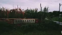 成都新津白鹤滩国家湿地公园