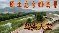 世外桃源，人间仙境，榕城“塔礁洲湿地公园”原生态乡野美景