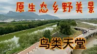 世外桃源，人间仙境，榕城“塔礁洲湿地公园”原生态乡野美景