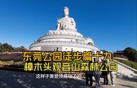 东莞公园徒步篇十九：樟木头观音山森林公园