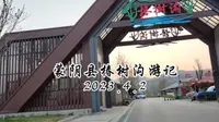 临沂蒙阴椿树沟游记，曲阜蒋哥游记之蒙阴椿树沟游记