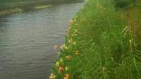 少海风景区