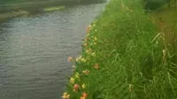 少海风景区