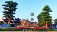 它为什么能成为中国十大名村？宁波奉化滕头村，中国生态第一村