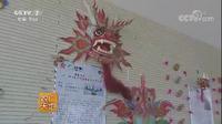 [农广天地]风筝之乡第什里