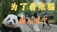 我敢说，99%的人都错过了成都熊猫基地最好玩的项目——“收猫”！