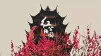 常州红梅公园