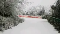 摩旅湖北看雪，徒步通城县药姑山，瑶族村往返三仙坦耗时7小时12分