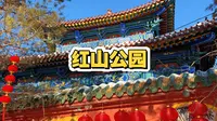 乌鲁木齐红山公园！这个公园也太好逛了吧！