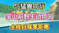 与猛兽同行，宝山前野生动物园，全程自驾零距离