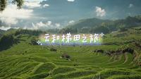 旅行日记｜浙江丽水 云和梯田之旅