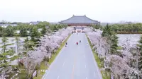 扬州鉴真路