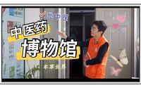 藏在学校里的中医药博物馆！百年陈皮、极品山参，欢迎来到本草的世界 【观展】