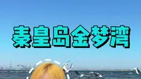 秦皇岛金梦海湾必住酒店！开窗见海还不贵