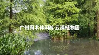 vlog 广州周末休闲游 云溪植物园