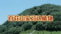 北京百花山野生观赏植物识别