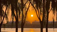 【2025年~吴忠市】乃光湖公园 | 吴忠市博物馆