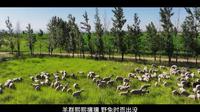 "煤海塞罕坝"宣传片