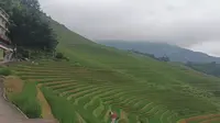 摩旅龙脊梯田金坑大寨
