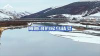 阿坝县阿曲河多美林卡湿地公园，候鸟栖息越冬地，观鸟好地方