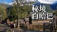 走进西北第一村！白哈巴孤独的树+那仁牧场+三道湾全攻略