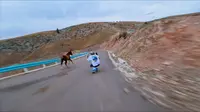 新疆阿克塔斯草原景区 长板速降 与马赛跑